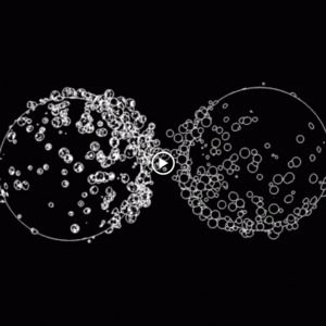 Meet your Posher, Syeda